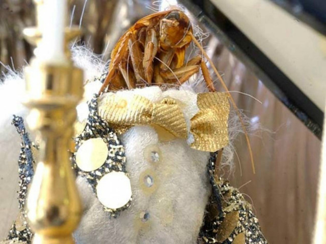 Cockroach Hall: Το πιο... σιχαμερό μουσείο στον κόσμο