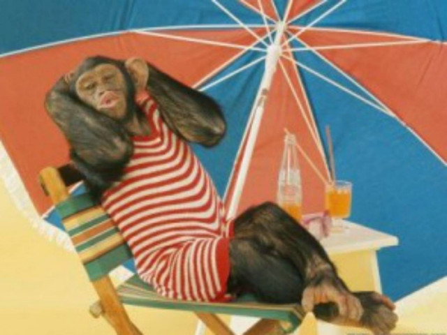 ΑΝΕΚΔΟΤΟ: Ο ηθοποιός βρήκε δουλειά στον ζωολογικό κήπο αλλά…!