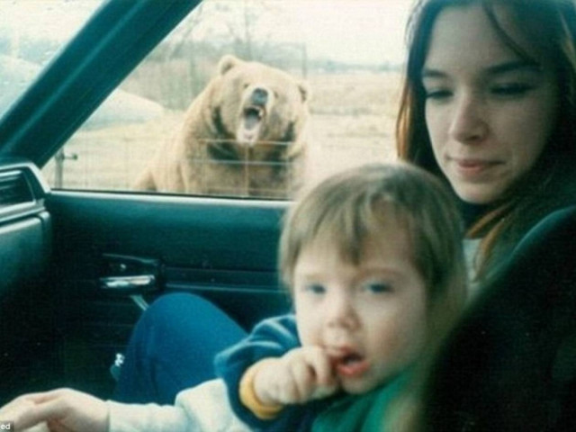 Τα καλύτερα photobombing με ζώα!