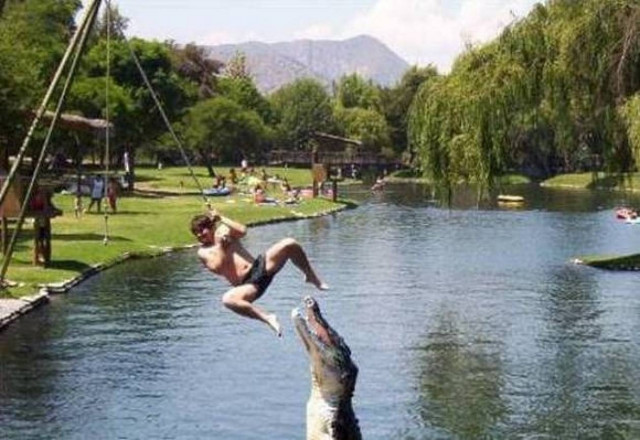 Η τελευταία φωτογραφία.. την τελευταία στιγμή (pics)