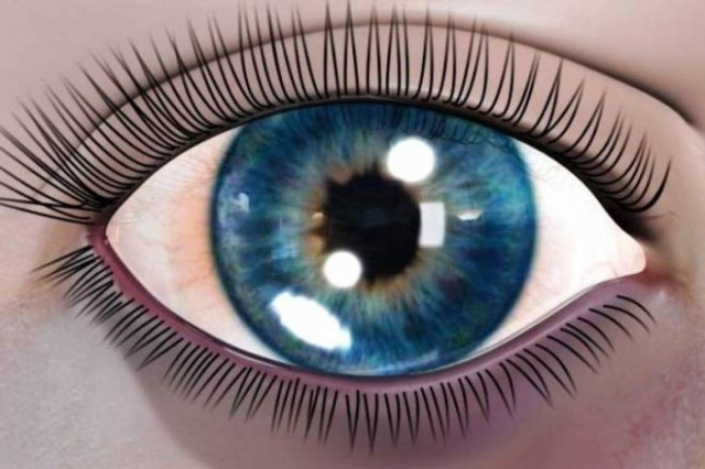 Το Ι.ΙΕΚ ΔΟΜΗ πάει Aniμasyros