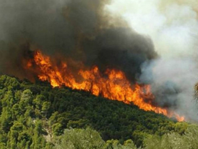 Ύπο έλεγχο η φωτιά που ξέσπασε το πρωί στο Ρέθυμνο