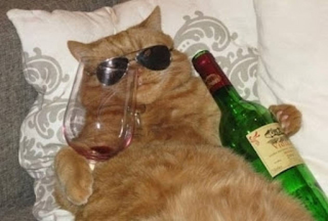 9 πράγματα που σίγουρα δεν θα δείτε ποτέ!