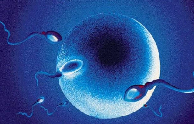 Σκάνδαλο εξωσωματικής  στα κατεχόμενα με ζευγάρι από την Τουρκία