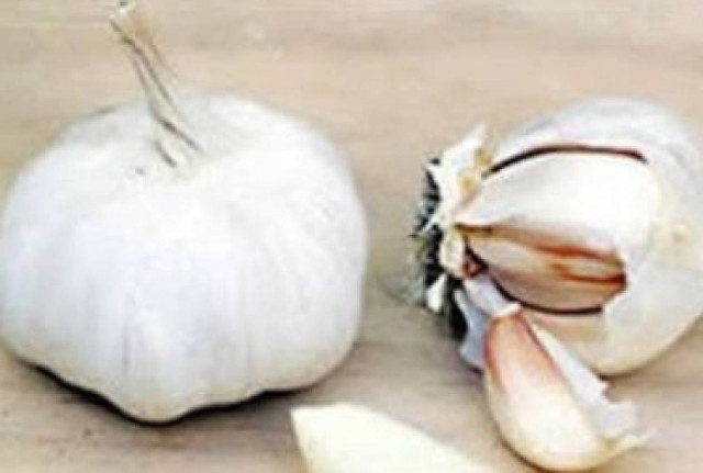 Οκτώ θεραπευτικές τροφές