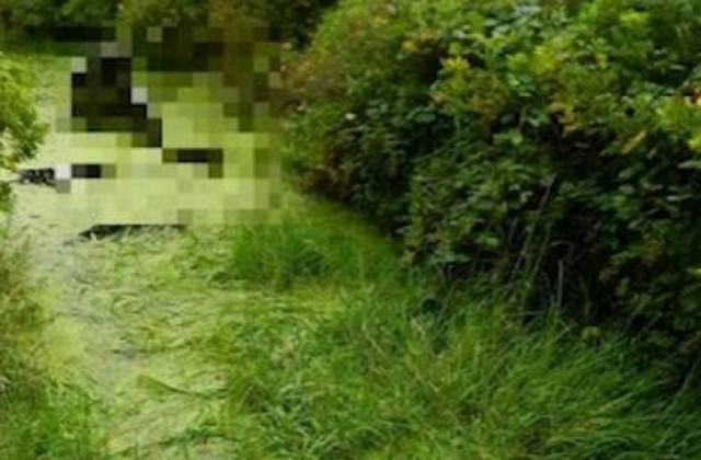 Τρομακτικό γλυπτό σε βάλτο της Ιρλανδίας! (pics)