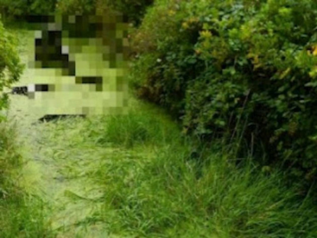 Δείτε: Τρομακτικό γλυπτό σε βάλτο της Ιρλανδίας