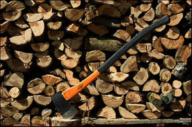 Μέτρα του ΥΠΕΚΑ για την πάταξη της λαθροϋλοτομίας