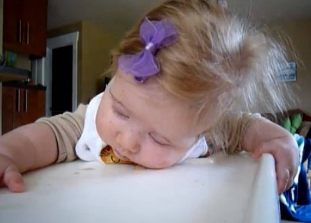 Bίντεο: Φαγητό ή ύπνος; Ιδού η απορία