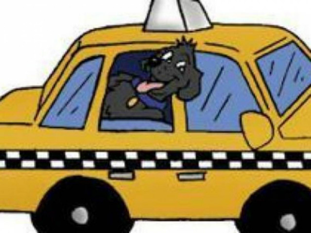 Τα 10 πιο παράξενα αντικείμενα που έχουν ποτέ ξεχαστεί σε ταξί!