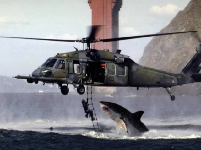 ΑΠΙΣΤΕΥΤΗ ΦΩΤΟΓΡΑΦΙΑ: Καρχαρίας...εναντίον ελικοπτέρου!