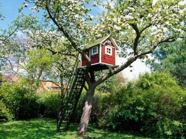 Απίθανα σπίτια πάνω σε δέντρα! (pics)