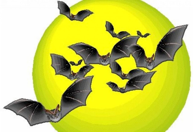 Ανέκδοτο: Οι νυχτερίδες