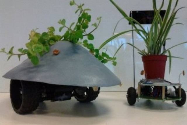 Ρομποτικά φυτά μετακινούνται ανάλογα τον ήλιο!