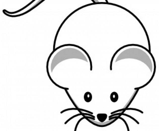 ΣΟΚ στη Ρόδο: Αρουραίος έτρωγε 35χρονη στον ύπνο της!