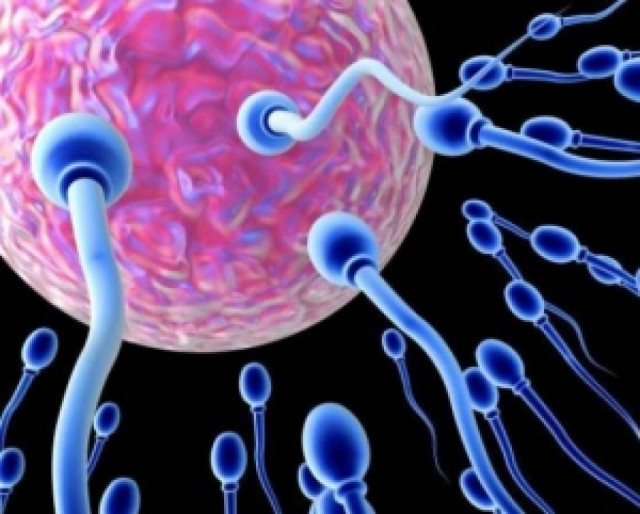 Η Δανία περιορίζει τη δωρεά σπέρματος μετά από σκάνδαλο