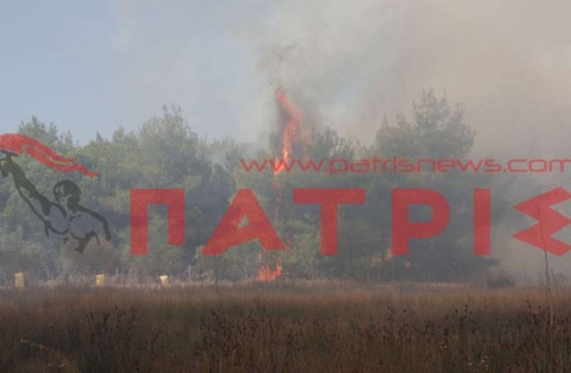 Βίντεο: Υπό έλεγχο η φωτιά στο δάσος της Σπιάτζας