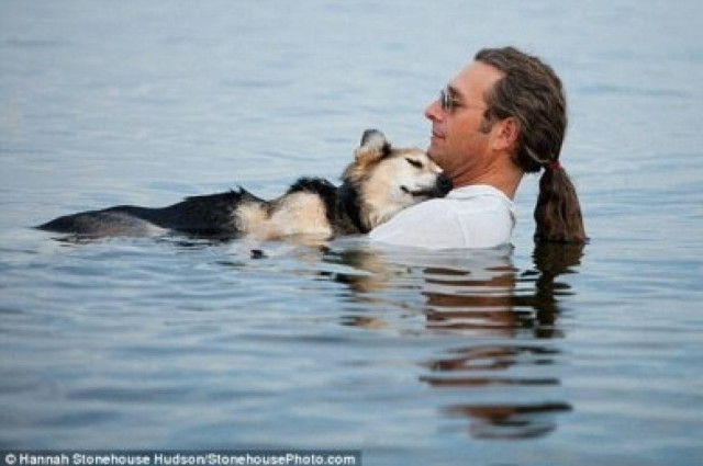 Δείτε πως το Facebook σώζει τους τετράποδους φίλους μας