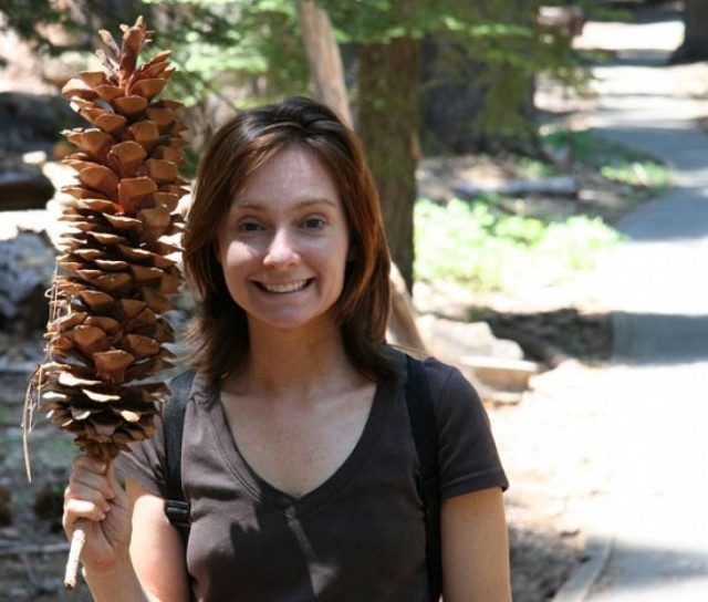 Έκανε σεξ με... κουκουνάρι και κατέληξε στο χειρουργείο!