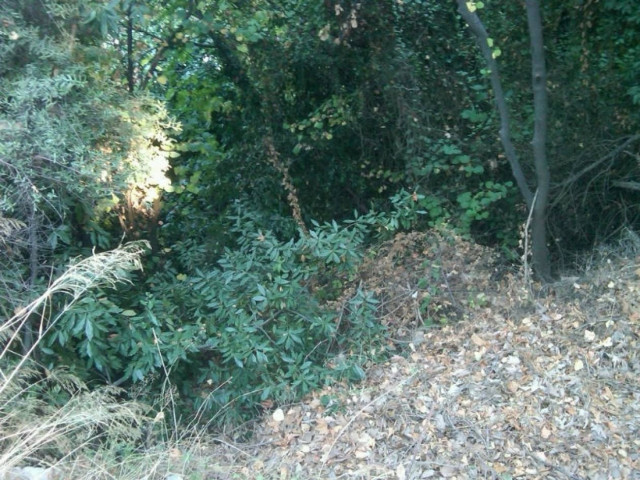 Χανιά: Αυτοκίνητο με τρεις νέους ανθρώπους έπεσε σε χαράδρα