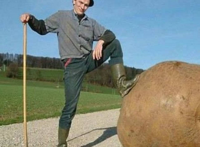 Ανέκδοτο: O αγρότης