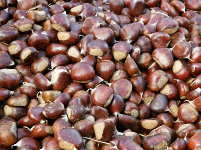 Επιχείρησαν να κλέψουν... 100 κιλά κάστανα!