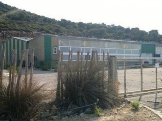 Τα ψάρια του Αχελώου «κατάπιαν» 150.000 ευρώ!