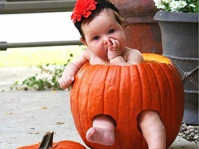 Μωρά σε... κολοκύθες! (pics)