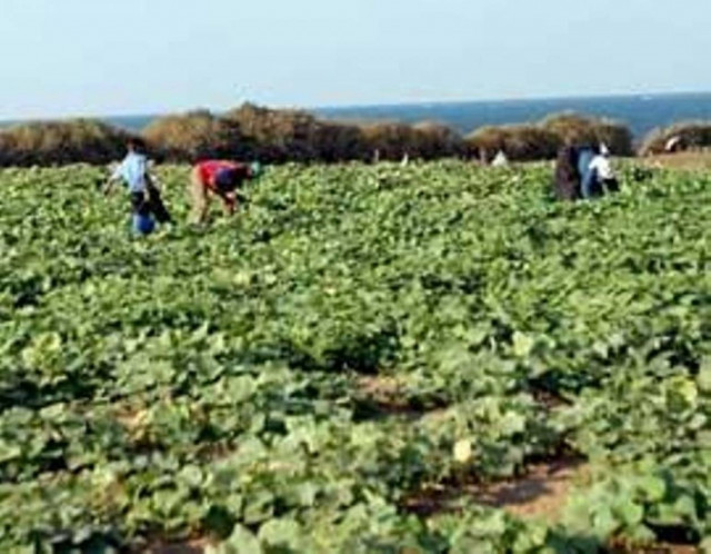Αποχωρούν από το αεροδρόμιο Ηρακλείου οι αγρότες