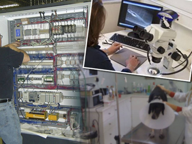 20 επαγγέλματα με ευκαιρίες απασχόλησης σήμερα