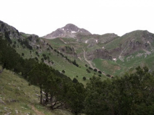 Πάτρα: Νεκρός εντοπίστηκε 26χρονος αγνοούμενος κυνηγός