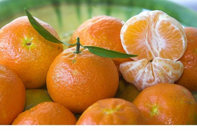 Ένα μικρό χωριό εξάγει τις μεγαλύτερες ποσότητες μανταρινιών!