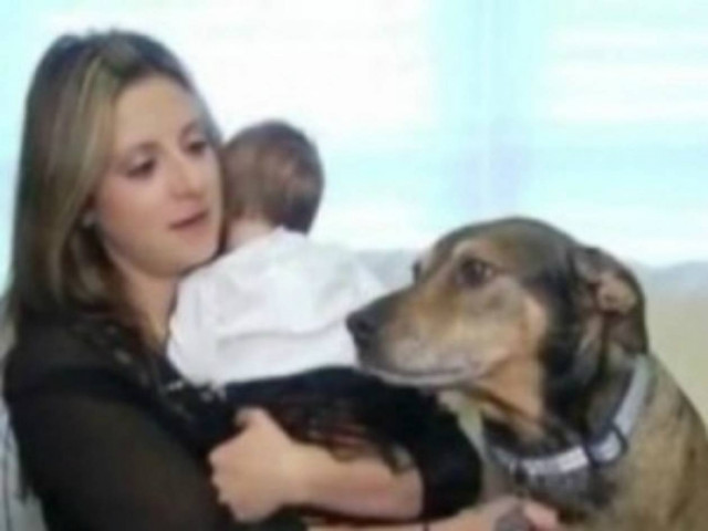 Σκύλος-ήρωας έσωσε τη ζωή νεογέννητου!