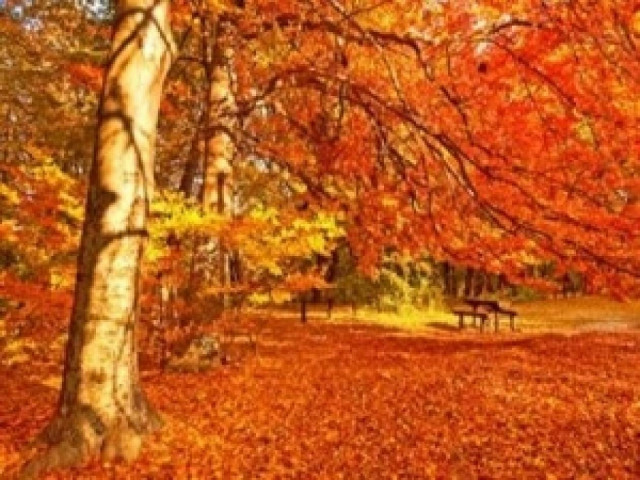 Πέντε περίεργες αλλαγές που μας φέρνει το φθινόπωρο