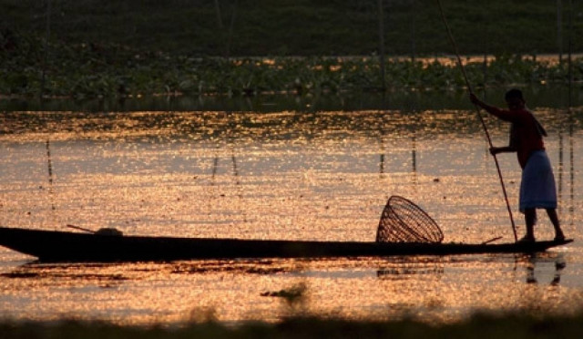 Aνακαλύφθηκε το αρχαιότερο οδοντοφόρο ζώο
