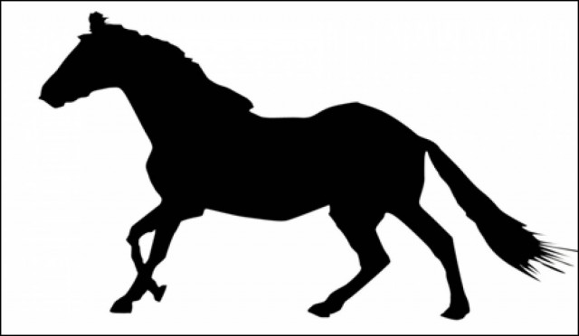 Ανέβηκε στα 200 εκατ. η αξία του πιο γνωστού αλόγου ιπποδρομιών