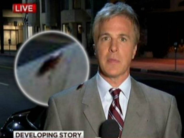 Βίντεο: Κατσαρίδα... όρμησε σε δημοσιογράφο!