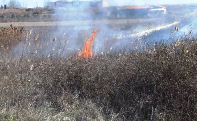 Καταστράφηκε από πυρκαγιά έκταση αγροτικής γης στην Ξάνθη
