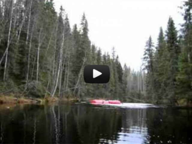 Βίντεο: Απολαμβάνοντας μια ήσυχη μέρα στη λίμνη όταν ξαφνικά…