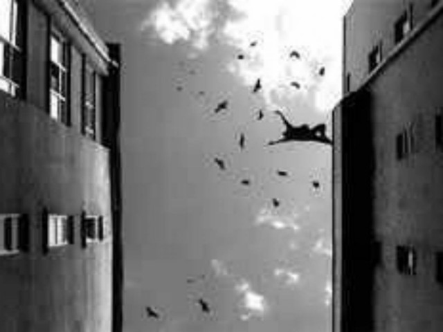 Κρήτη: Βουτιά θανάτου για 67χρονη