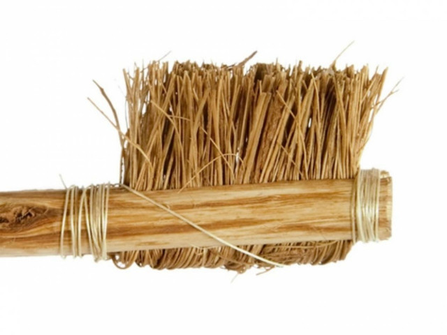 Η ιστορία της οδοντόβουρτσας!