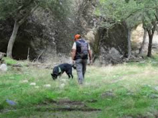 Γέμισαν με δηλητηριασμένα δολώματα τα βουνά της Κρήτης