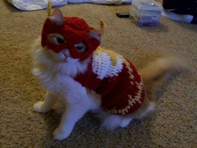 Ξεκαρδιστικό βίντεο: Η... ιπτάμενη γάτα!