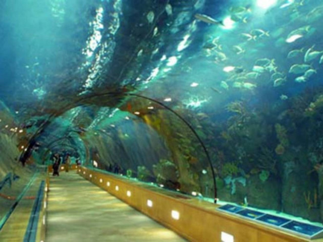 Οι πιο παράξενες σήραγγες που έχετε δει!