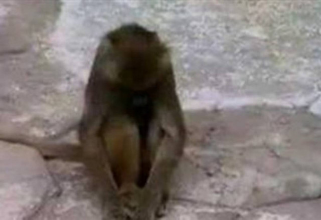 Bίντεο: Είδε την αλήθεια κατάματα