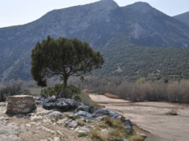 Αλυσόδεσε τον αλλοδαπό υπάλληλό του στο δέντρο