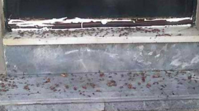 Ένα ακόμη σύγχρονο Κωσταλέξι σοκάρει την Πάτρα!