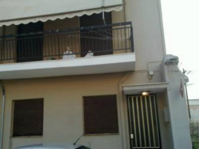 ΣΟΚ στην Πάτρα: Ζούσαν ανάμεσα σε χιλιάδες κατσαρίδες (vid)