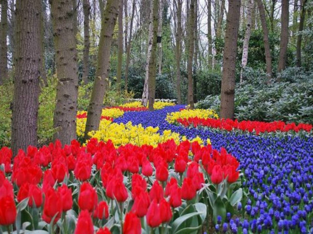 Εκληκτικές φωτογραφέις: Ένας παράδεισος στη γη!