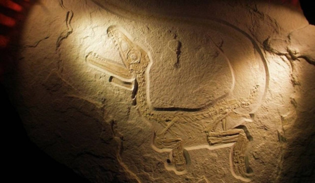 Οι επιστήμονες εντόπισαν έναν «ιδιόμορφο» δεινόσαυρο